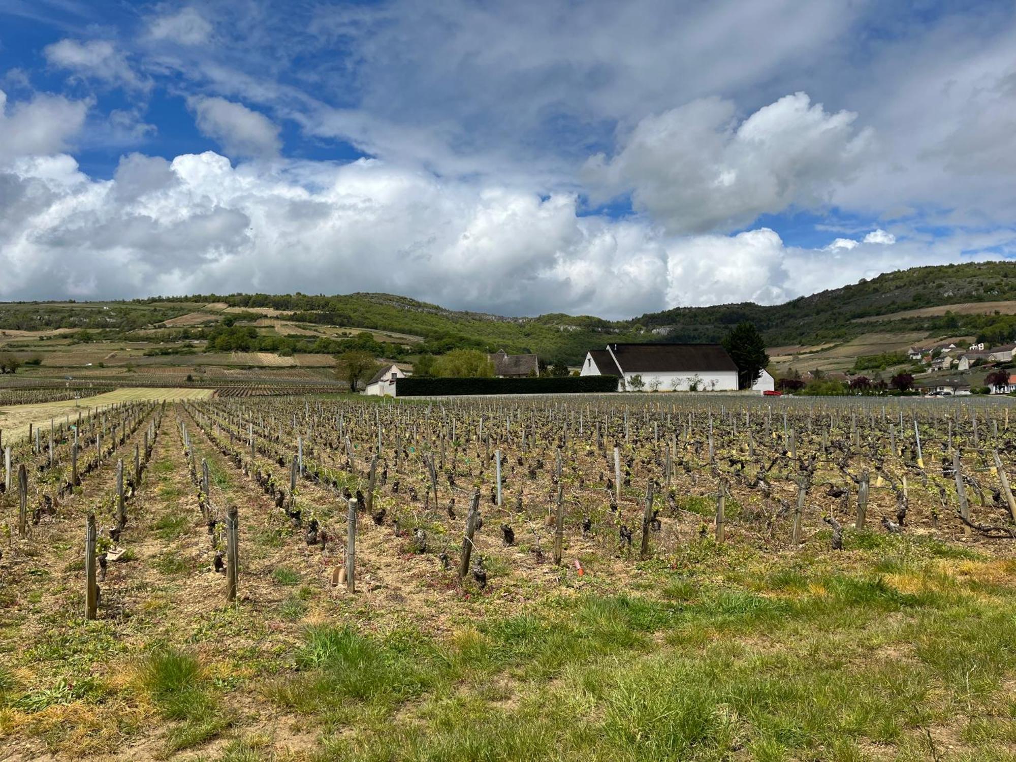 Camping De Santenay 圣奈 外观 照片